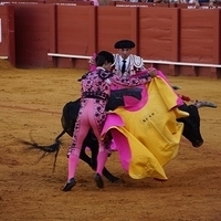 2014.06.22-368.JPG