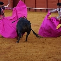 2014.06.22-369.JPG