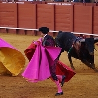 2014.06.22-373.JPG