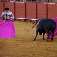 2014.06.22-374.JPG