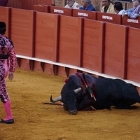 2014.06.22-377.JPG