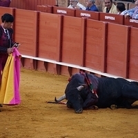 2014.06.22-378.JPG