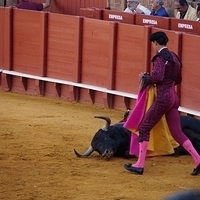 2014.06.22-379.JPG