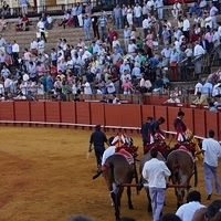 2014.06.22-384.JPG
