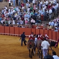 2014.06.22-385.JPG
