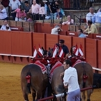 2014.06.22-386.JPG