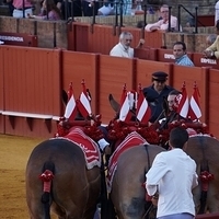 2014.06.22-387.JPG