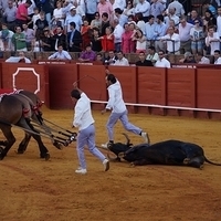 2014.06.22-392.JPG