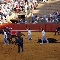 2014.06.22-393.JPG