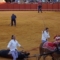 2014.06.22-397.JPG