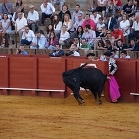 2014.06.22-407.JPG