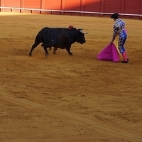 2014.06.22-409.JPG