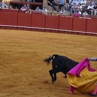 2014.06.22-411.JPG