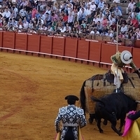 2014.06.22-413.JPG