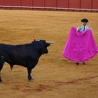 2014.06.22-414.JPG