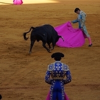 2014.06.22-415.JPG