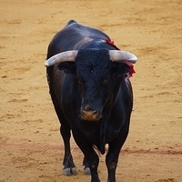 2014.06.22-418.JPG