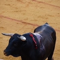 2014.06.22-419.JPG