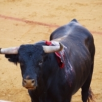 2014.06.22-420.JPG