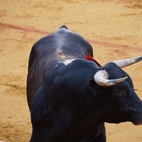 2014.06.22-421.JPG