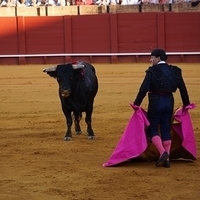 2014.06.22-429.JPG