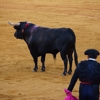 2014.06.22-432.JPG
