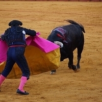 2014.06.22-434.JPG
