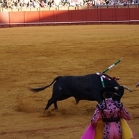 2014.06.22-435.JPG