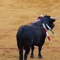 2014.06.22-436.JPG