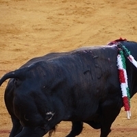 2014.06.22-438.JPG