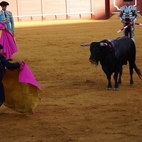 2014.06.22-439.JPG