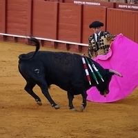2014.06.22-441.JPG