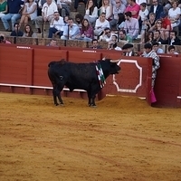 2014.06.22-442.JPG