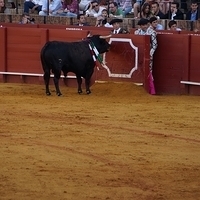 2014.06.22-443.JPG