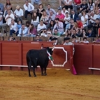 2014.06.22-445.JPG