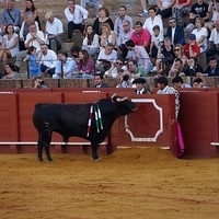 2014.06.22-447.JPG