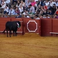 2014.06.22-450.JPG