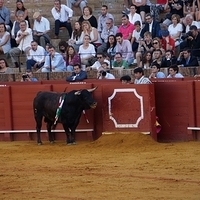 2014.06.22-452.JPG