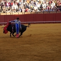 2014.06.22-454.JPG