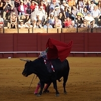 2014.06.22-458.JPG