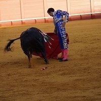 2014.06.22-460.JPG