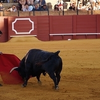 2014.06.22-467.JPG