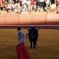 2014.06.22-468.JPG