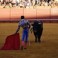 2014.06.22-470.JPG