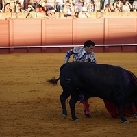 2014.06.22-473.JPG