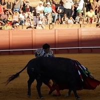 2014.06.22-474.JPG