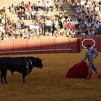 2014.06.22-475.JPG