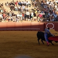 2014.06.22-476.JPG