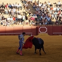 2014.06.22-477.JPG
