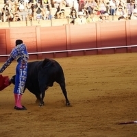 2014.06.22-479.JPG